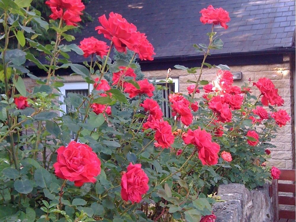 Ellen House Bed&Breakfast Matlock  Exterior foto