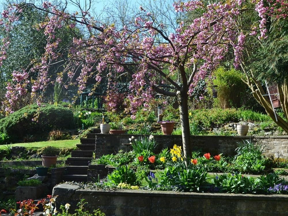 Ellen House Bed&Breakfast Matlock  Exterior foto