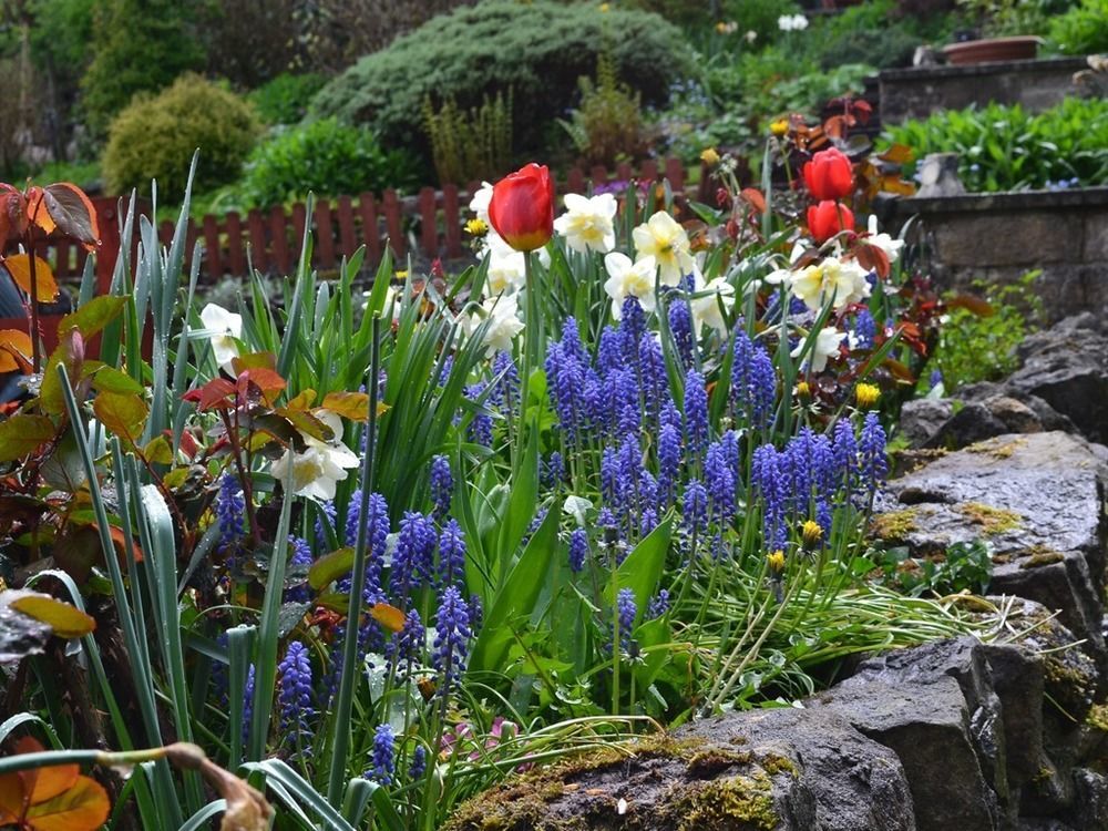 Ellen House Bed&Breakfast Matlock  Exterior foto